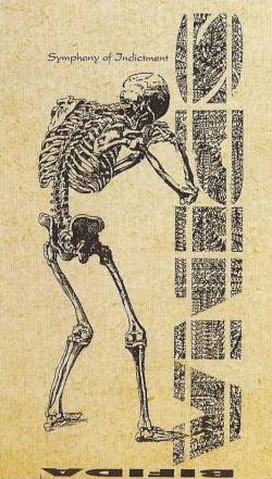 Spina Bifida : Symphony of Indictment